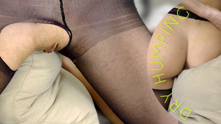 Humping my pillow until I sperm